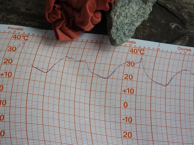 temperature, record, chart, curve, weather, meteorology. Data analysis questions: what people ask and what is true